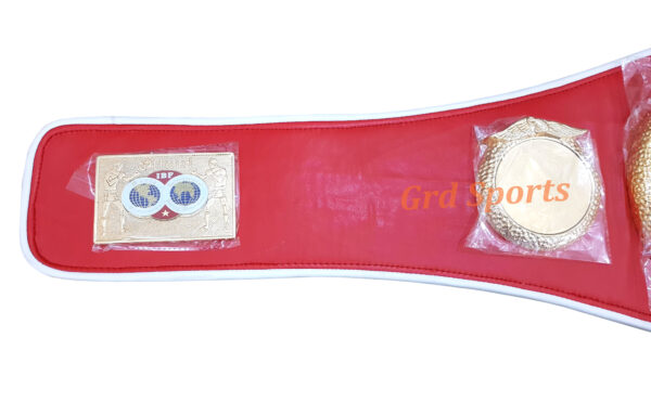 IBF INTERNATIONAL BOXING FEDERATION CHAMPIONSHIP BELT ADULT SIZE - Image 2