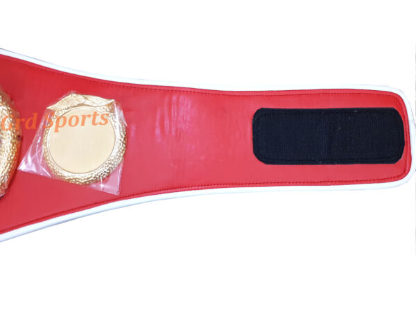 IBF INTERNATIONAL BOXING FEDERATION CHAMPIONSHIP BELT ADULT SIZE - Image 3