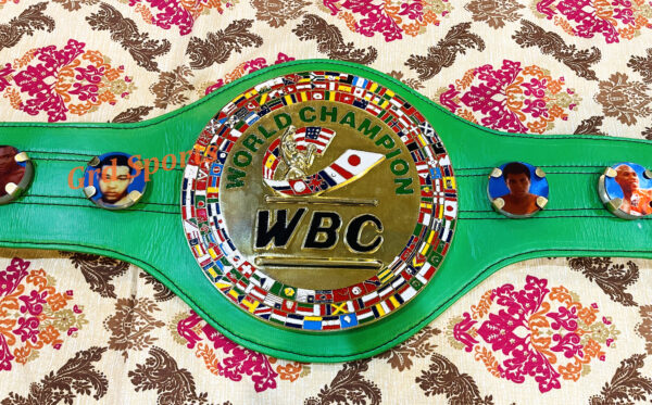 WBC WORLD CHAMPION BOXING BELT - Image 4