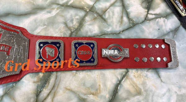 NWA TELEVISION HEAVYWEIGHT WRESTLING CHAMPIONS BELT - Image 3