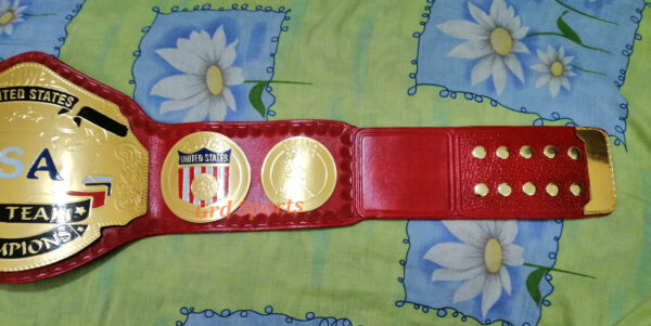 USA TAG TEAM CHAMPION BRASS BELT - Image 3