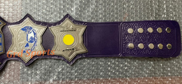 TNA CHAMPION BRASS BELT - Image 3