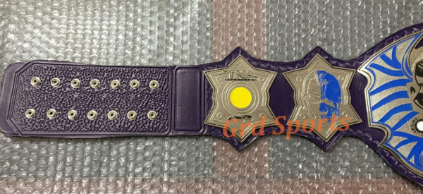 TNA CHAMPION BRASS BELT - Image 2